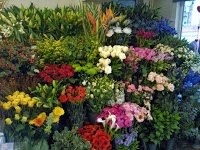 Cottage Garden Florist 1102270 Image 0